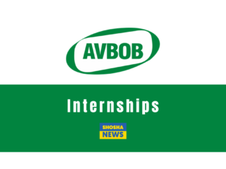 AVBOB Legal Internships 2024