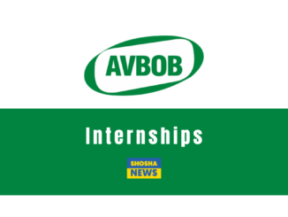 AVBOB: Business Admin Internships 2024
