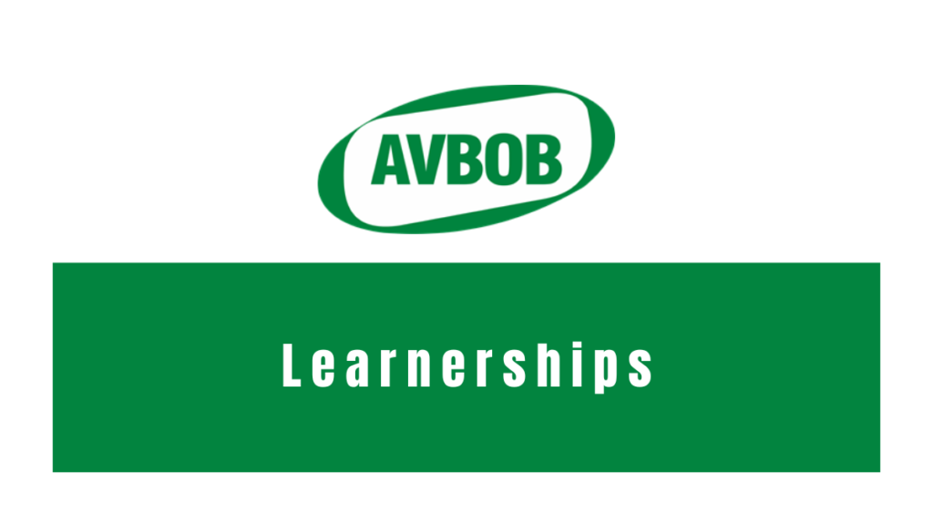 AVBOB Long Term Insurance Learnerships 2024