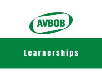 AVBOB Long Term Insurance Learnerships 2024