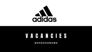 Adidas Store Retail Sales Associate Opportunity in Hillfox, Gauteng