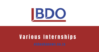 BDO YES Internship Programme 2024