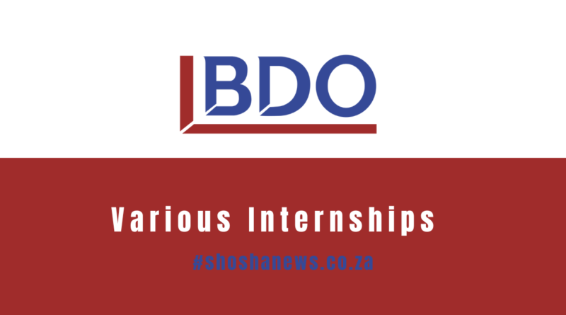 BDO YES Internship Programme 2024