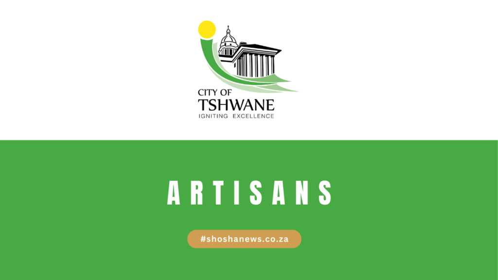 City of Tshwane X33 Artisans 2024