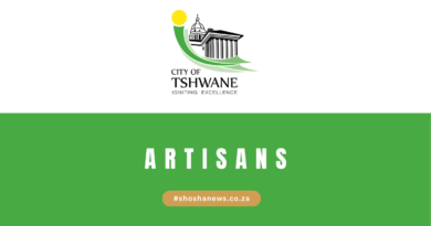 City of Tshwane X33 Artisans 2024