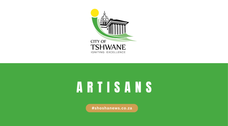 City of Tshwane X33 Artisans 2024