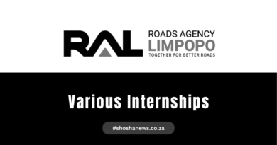 RAL Road Agency Limpopo (RAL) Internship 2024