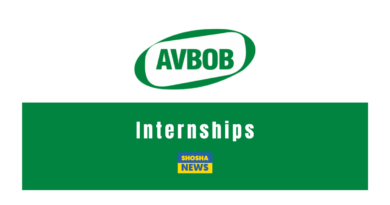 AVBOB Graduate Internships 2024/2025