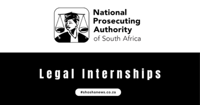 Join NPA Internships 2024/2025