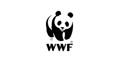 WWF South Africa: Graduate Internships 2024 / 2025