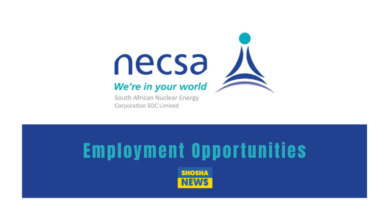 Necsa Group Internship Programme 2024/2025