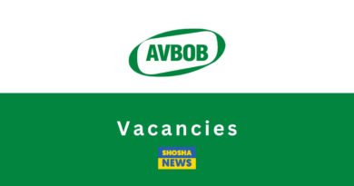 Avbob x5 Team Leader Vacancies | Grade 12