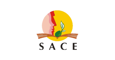 SACE: Internship Programme 2024