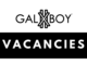 Galaxy Boy Sales Assistants