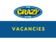 The Crazy Store X15 Shop Assistants 2025