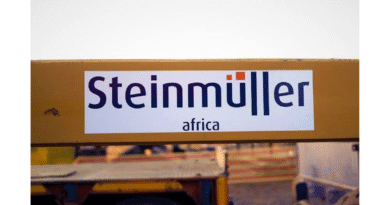 Steinmuller Africa Graduate Internships