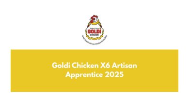 Goldi Chicken X6 Artisan Apprentice 2025