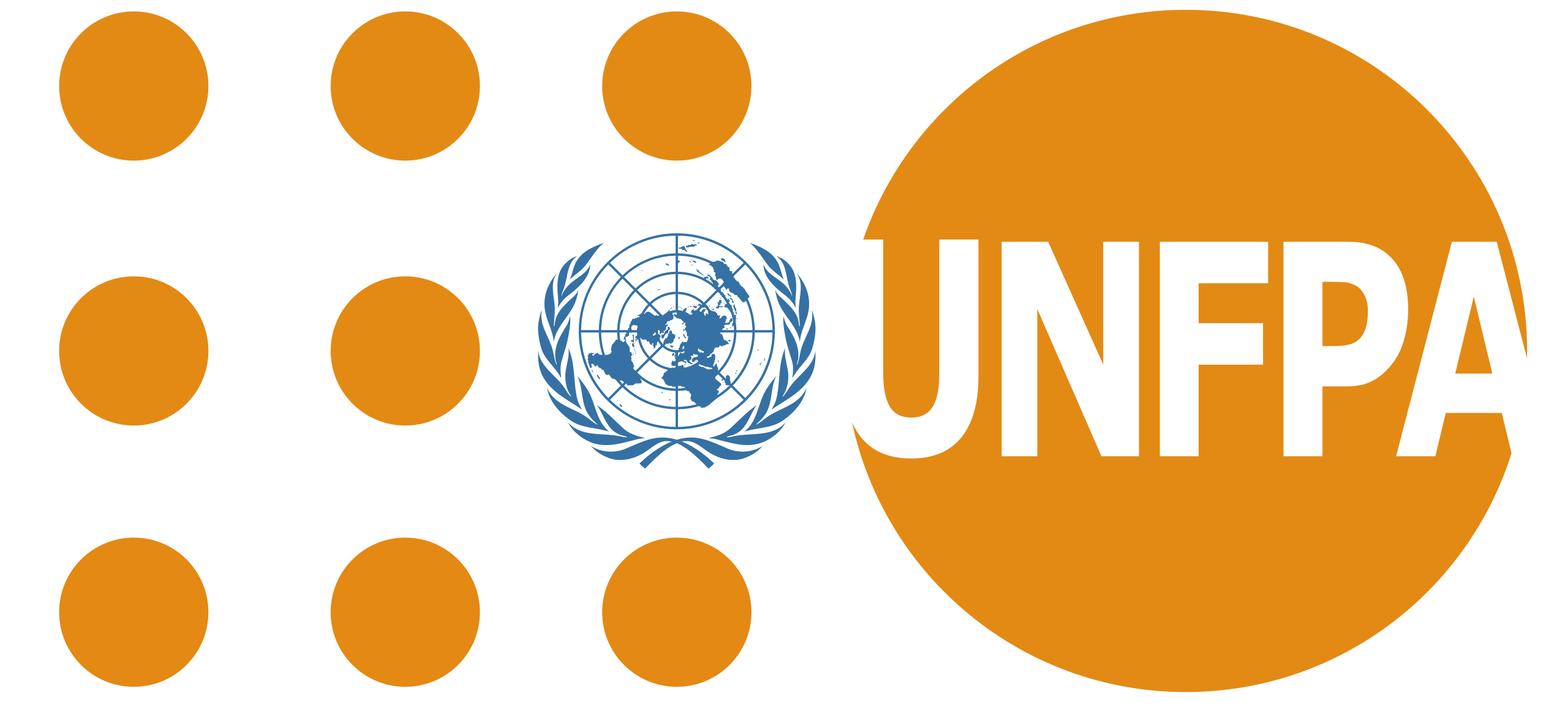 Administrator and Project Support Intern at UNFPA