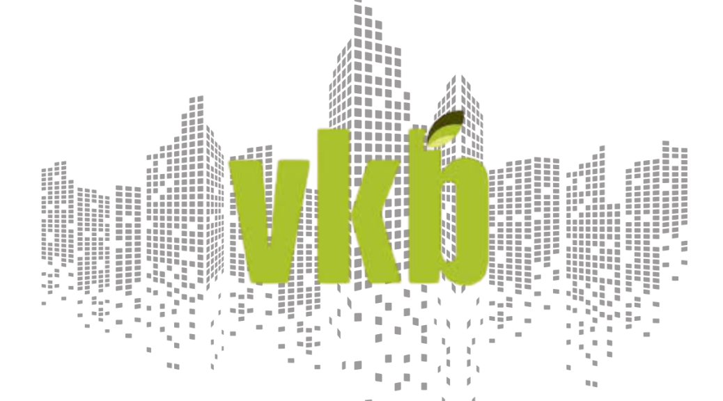 VKB Graduate Opportunities: BCom Information Systems Bursary