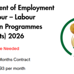 DEPARTMENT OF EMPLOYMENT AND LABOUR - LABOUR ACTIVATION PROGRAMMES (X69 POSTS) 2026