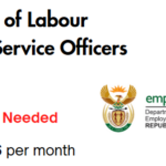 Department of Labour X13 Client Service Officers 2026